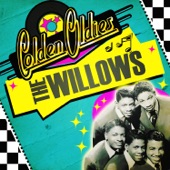 The Willows - Baby Tell Me