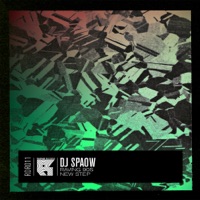 Raving 90's / New Step - Single - Spaow