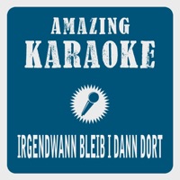 Irgendwann Bleib I Dann Dort