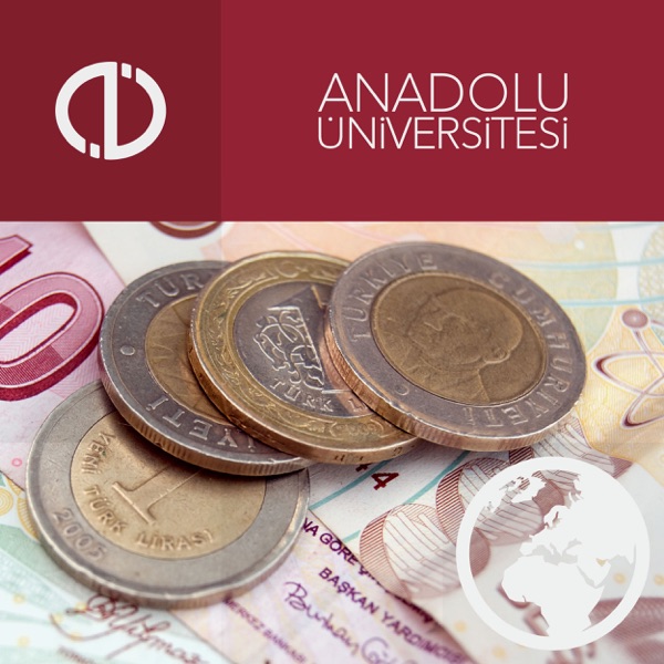 Türkiye Ekonomisi cover