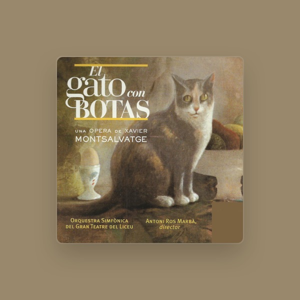 Orquestra Simfònica del Gran Teatre del Liceu's avatar