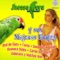 Tonta - Jhosse Lora lyrics