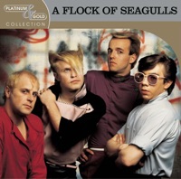 A Flock Of Seagulls Ablum Cover