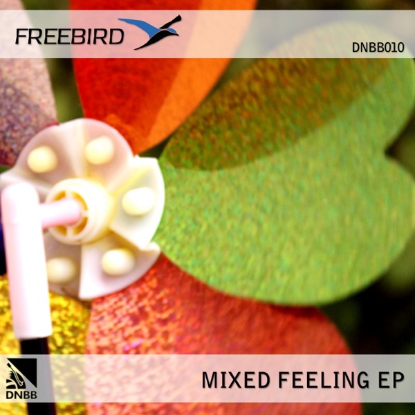 Mixed Feelings - EP