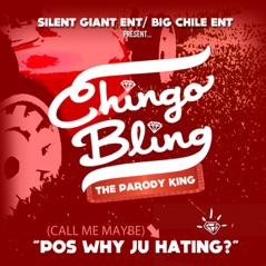 Call Me Maybe (Pos Why Ju Hating) - Single