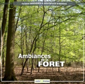 Naturophonia: Ambiances de la forêt