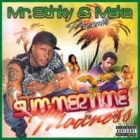 Summer Time Madness - Single - Mr. Stinky & MA:KE