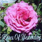 La Vie En Rose