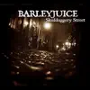 Barleyjuice - Whiskey Maid