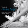 Tchaikovsky, P.I.: Swan Lake artwork