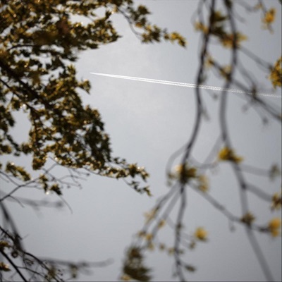 Leaving - Single