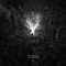 Cluster F**k (HypoGeo Remix) - Sensient lyrics