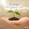 The Beginning - Single