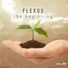 Flexus - Sunset
