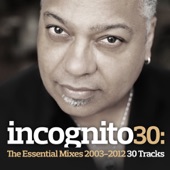 Incognito 30: The Essential Mixes (2003-2012) artwork