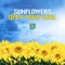 Open Your Soul - Sunflowers lyrics