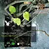 Sergey Silvertone - Light Expectations (Original Mix)