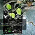 Light Expectations (Original Mix)