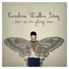 Carolina Wallin Pérez - Sanningen