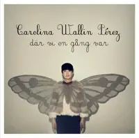 Sanningen — Carolina Wallin Pérez