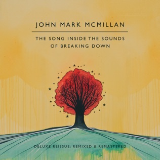 John Mark McMillan Ashes And Flames