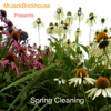 Spring Cleaning - MrJackBrickhouse