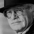 Il pettirosso