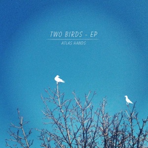Two Birds - Single