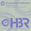 Letting Go (Shingo Nakamura Remix)