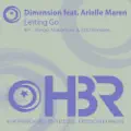 Letting Go (Shingo Nakamura Remix)