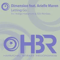 Letting Go (Shingo Nakamura Remix) (feat. Arielle Maren) — Dimension