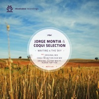 Waiting 4 the Sky - Single - Jorge Montia & Coqui Selection
