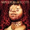 Spit - Sepultura lyrics