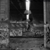 Films - Single