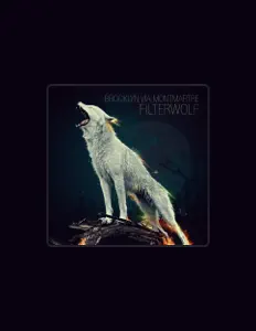 聆聽 Filterwolf、觀看音樂影片、閱讀小傳、查看巡演日期等！