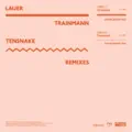 Trainmann (Tensnake Franceman Mix)