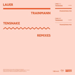 Trainmann (Tensnake Remixes) - Single