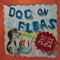 Dry Beans - Dog On Fleas lyrics