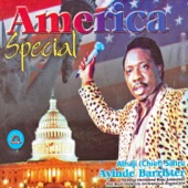 America Special Medley artwork