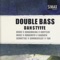 Serenade for Double Bass. Adagio - Dan Styffe, Øystein Birkeland, Atle Sponberg & Gonzalo Moreno lyrics