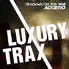 Shadows On the Wall - Single