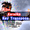 Only One (In the Style of BoA) [Karaoke for Man] - Groove Edition