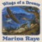 The Gift - Marina Raye lyrics