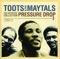 Toots And The Maytals - Monkey man