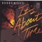 D'Ridum - Bobby Wells lyrics