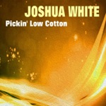 Joshua White - Uncle Sam Says