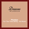 For the Time Being (feat. Erlend Øye) [All Mixes]