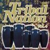 Tribal Nation 4