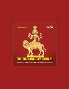 Ascolta Shanmuga Sundaram, guarda video musicali, leggi la biografia, vedi le date del tour & altro!