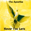 Never Too Late